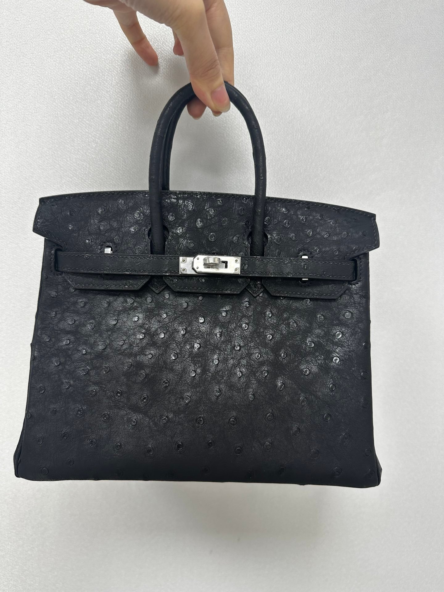 Birkin25