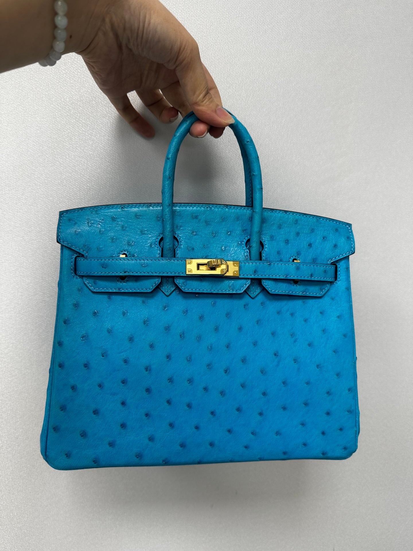Birkin25