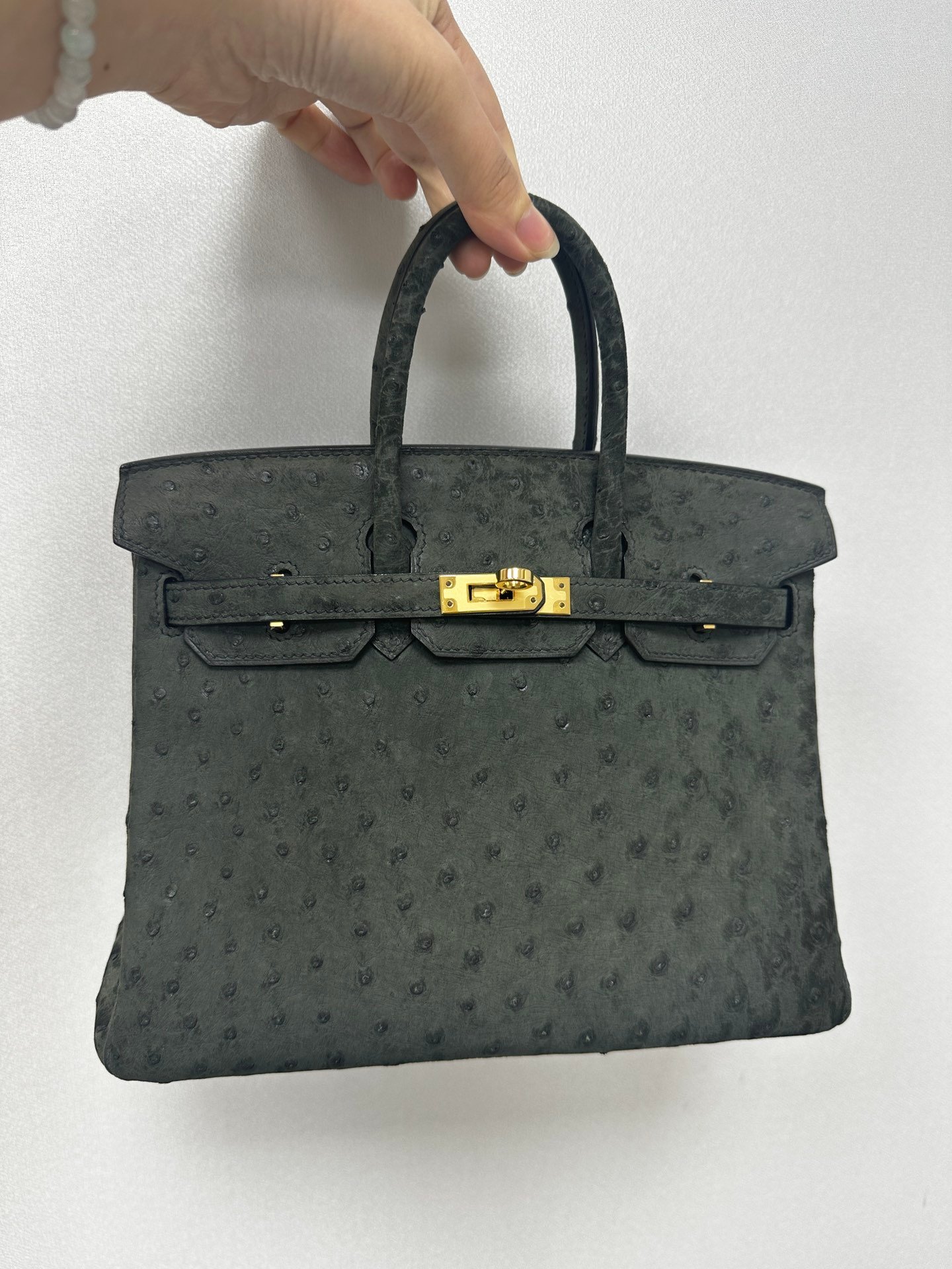 Birkin25