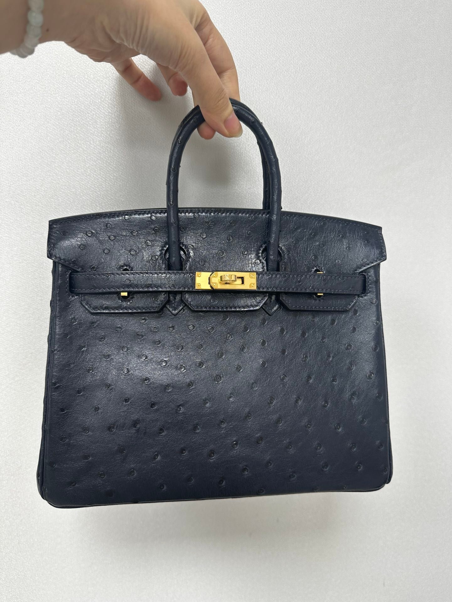 Birkin25