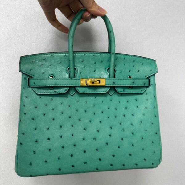 Birkin25