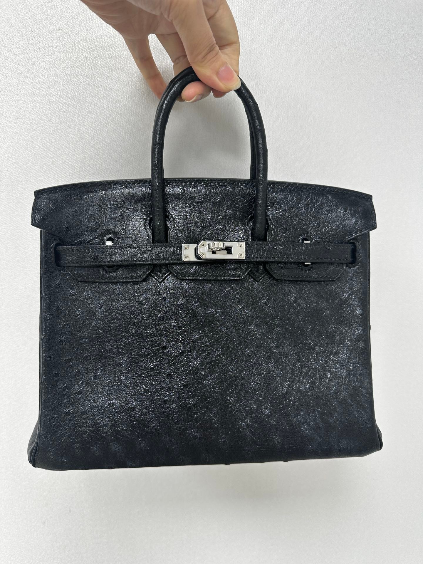 Birkin25