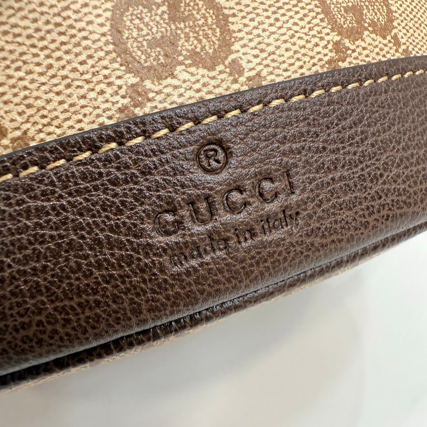 Generation Gucci古驰世代系列深入探索品牌的典藏元素，将不同世代的设计融合为统一的美学叙事。GG涂层帆布搭配经典织带，为多功能小型皮具带来标志性风格，如这款设计用于存放日常必需品的水桶包。