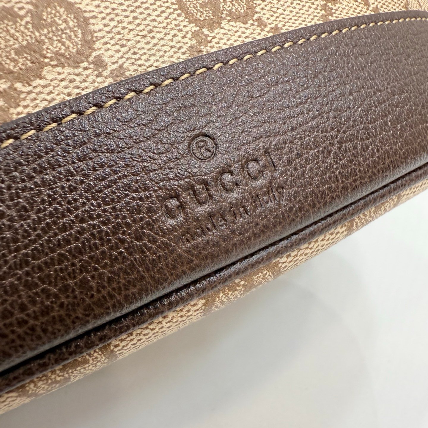 Generation Gucci系列深入探索品牌的经典元素，将不同世代的设计融合成一种美学叙事。GG涂层帆布搭配织带，为多功能小型皮具带来品牌标志性的设计，例如这款设计用于存放日常必需品的水桶包。
